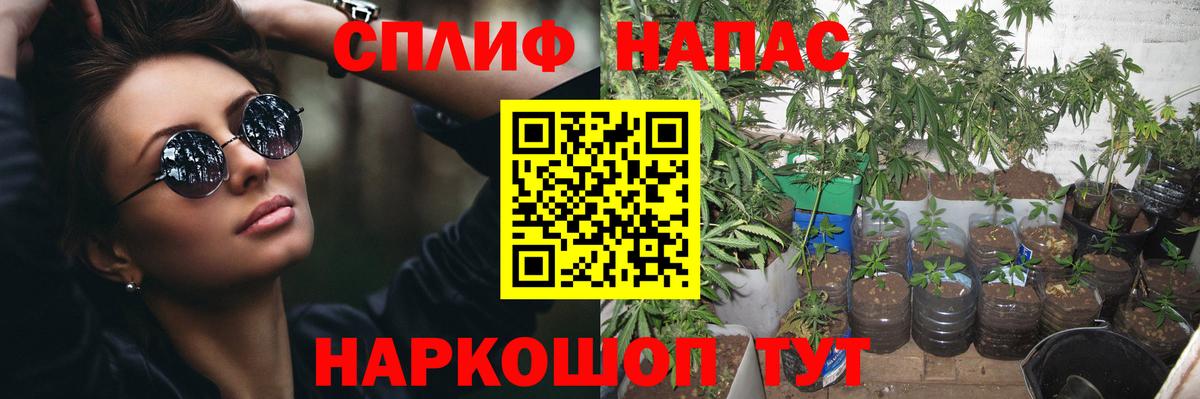 Шишки марихуана тримм  Канабис планчик  Вход с VPN  Краснокаменск 